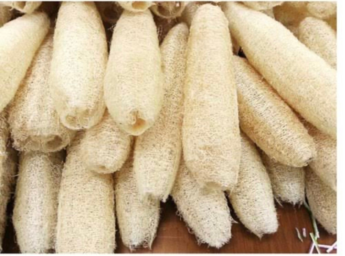 Ever seen a loofah peeling?