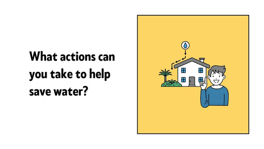 What actions can you take to help save water?