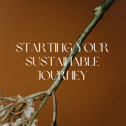 “Embark on Your Eco-Journey: 10 Practical Steps for a Sustainable Lifestyle Makeover!”