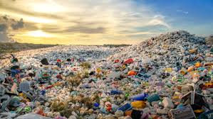 Plastic Pollution: The Global Crisis and How You Can Help