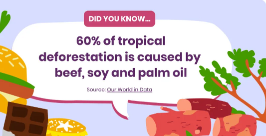 4 Ways To Reverse Land Degradation - Part 3