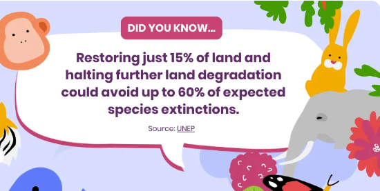 4 Ways To Reverse Land Degradation - Part 2