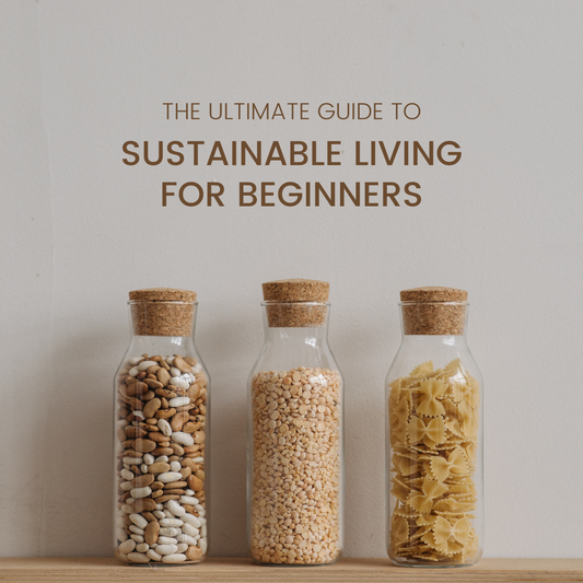 Understanding Sustainable Living: A Beginner's Guide