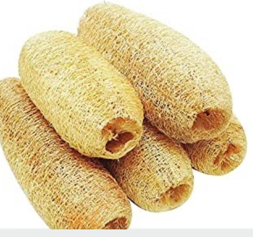 SPONGE GOURD LOOFAH (pack of 2)